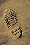Caminada