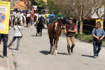 Tres tombs 230