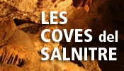 Visita les Coves del Salnitre