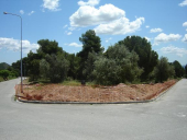 Solar nou CEIP Collbató