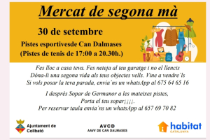 Mercat de segona mà de Can Dalmases