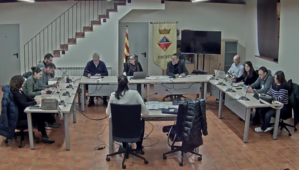 Ple Extraordinari 29 de desembre