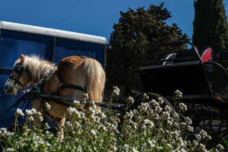 Divendres, pregó dels Tres Tombs al Molí de l'Oli