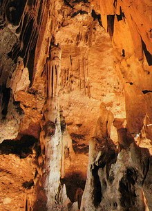 coves1