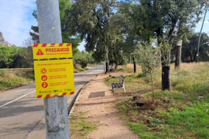 S'avança la processionària