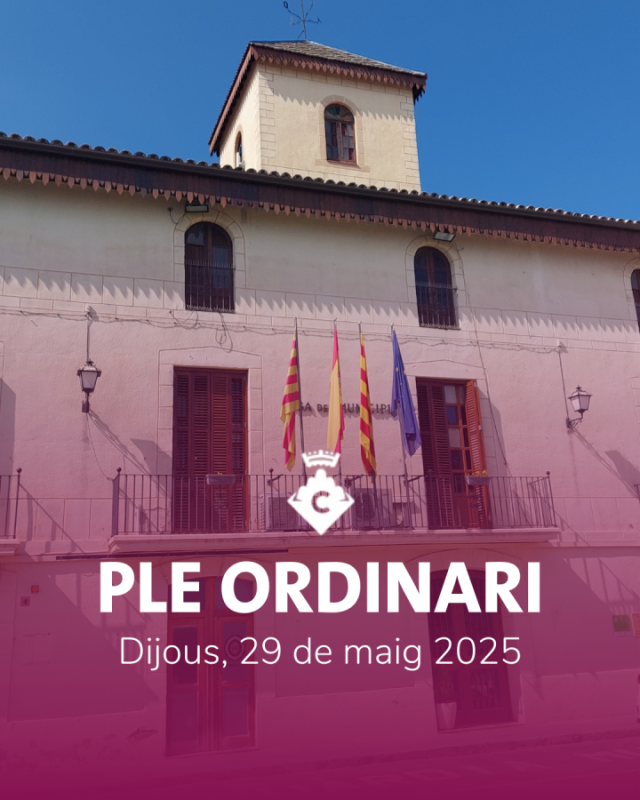 Ple ordinari 29 maig 2025