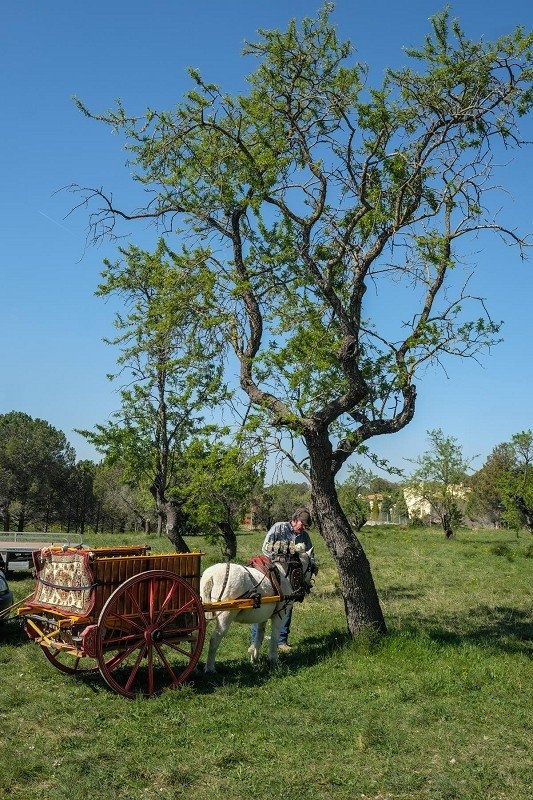 Arriben Els Tres Tombs!