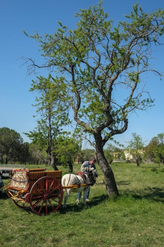 Arriben Els Tres Tombs!