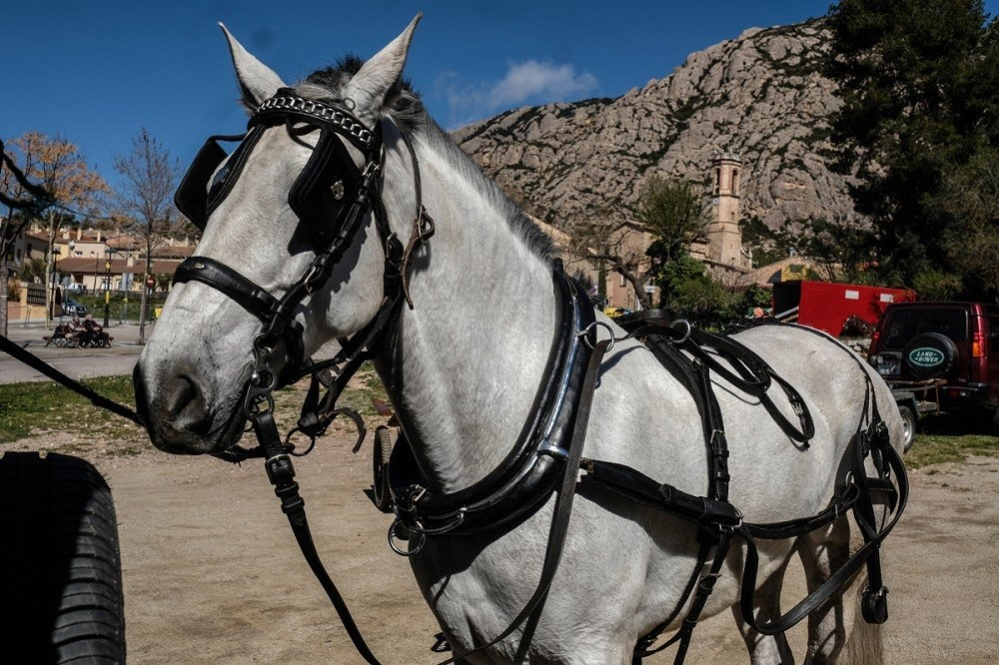 Els Tres Tombs, a Collbató