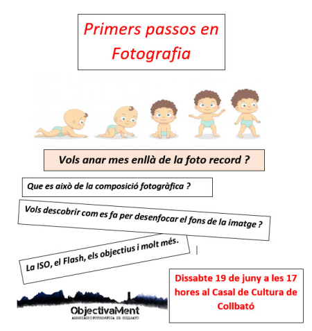 tarda de fotos