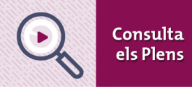 Actes de ple