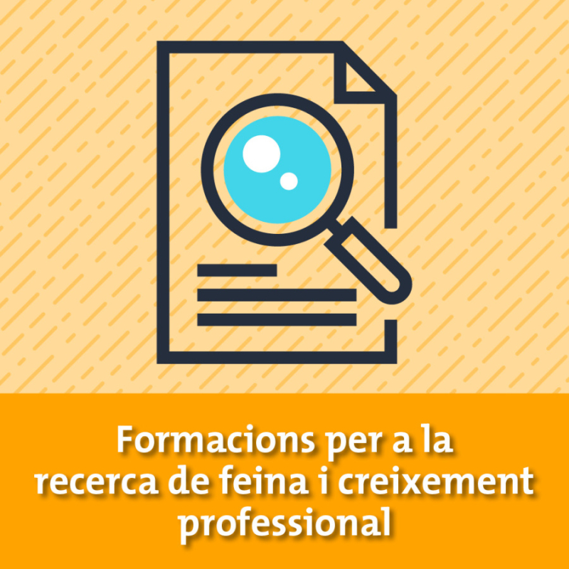 Formacions promoció econòmica