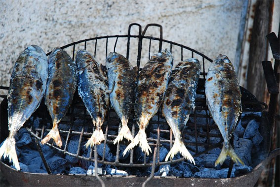 foc