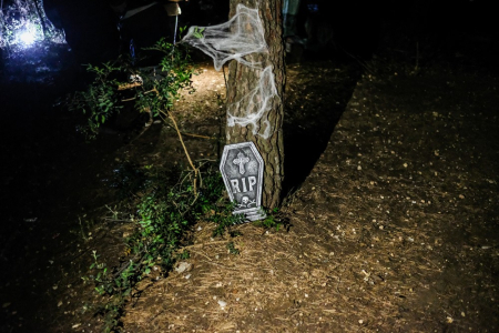 Bosc del Terror a Collbató