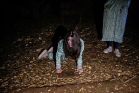 Bosc del Terror a Collbató