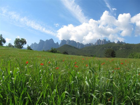 Caminada  4