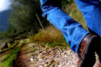Segona caminada del cicle