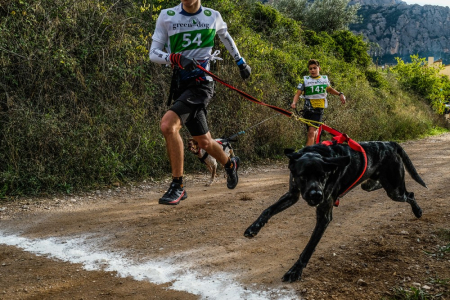 Canicross a Collbató