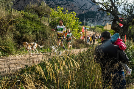 Canicross a Collbató