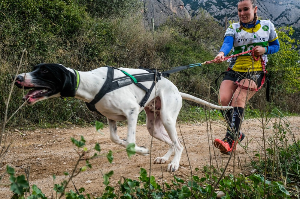 Canicross a Collbató
