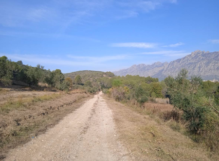 Actuació de millora de camins