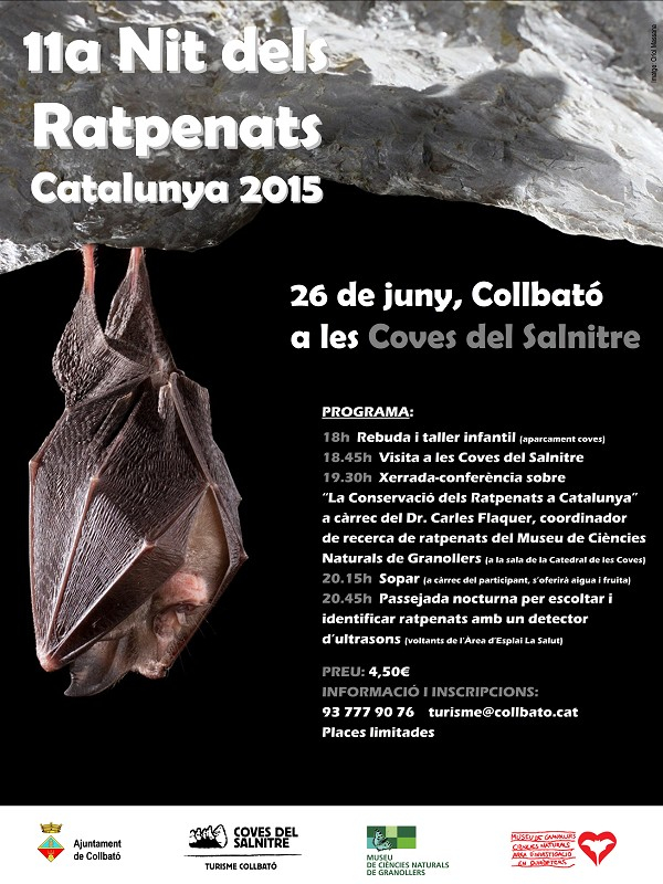 Cartell de la Nit del Ratpenats