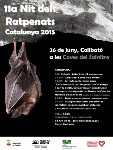 Cartell de la Nit del Ratpenats