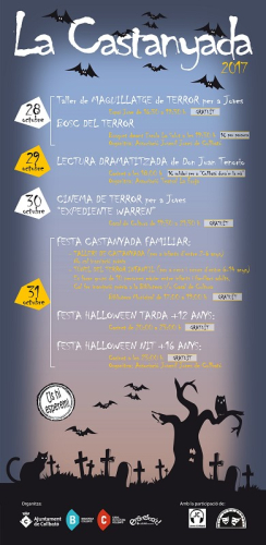 Cartell de la Castanyada 2017