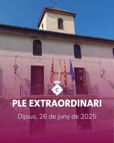 Ple Extraordinari 26 de juny de 2025