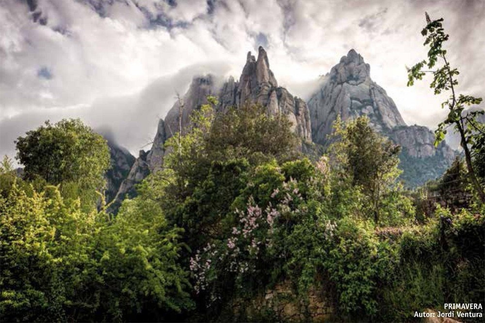 Foto Primavera, de Jordi Ventura.