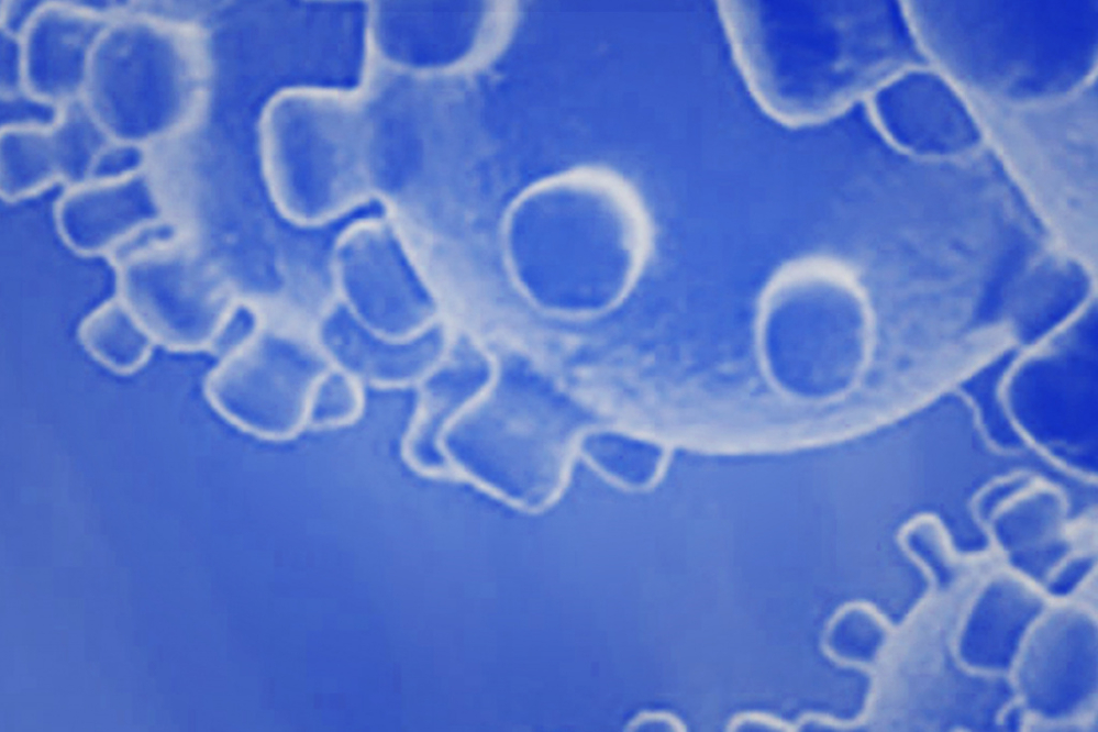 Coronavirus