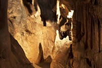 Les Coves del Salnitre tindran presència a les jornades
