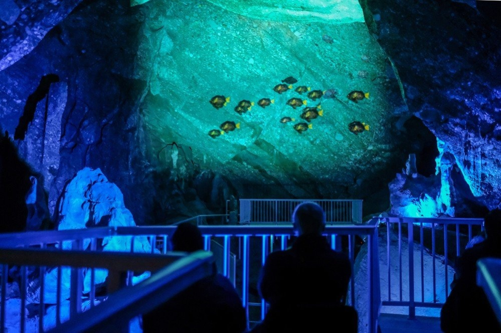 Un moment de l'espectacle audiovisual