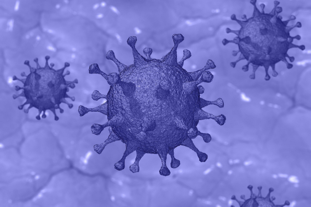 Coronavirus SARS-CoV-2