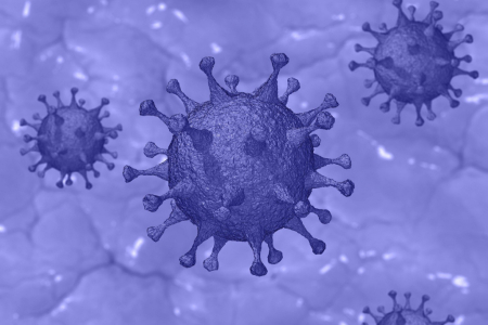 Coronavirus SARS-CoV-2