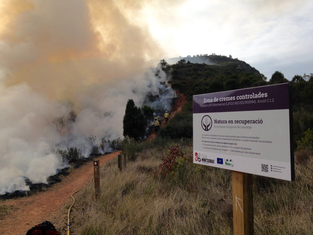 Crema controlada dins del projecte LIFE Montserrat