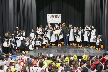 D_Pingüins