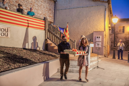 Celebració de la Diada del 2017