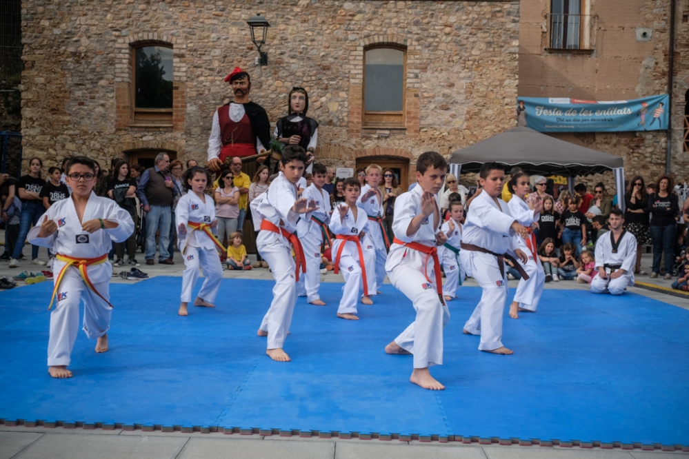 Festa de les Entitats, a Collbató