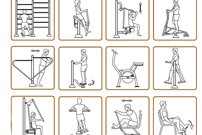 Tots els ciutadans poden accedir als circuïts de fitness