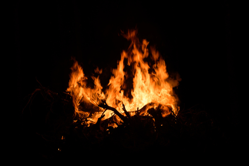 Comença la prohibició de fer foc al bosc