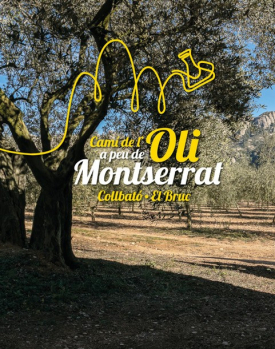 Camí Oli_Oliveres
