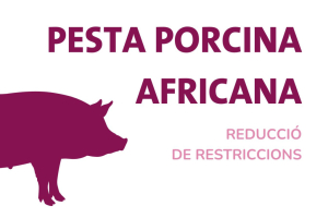 Reducció Restriccions PPA