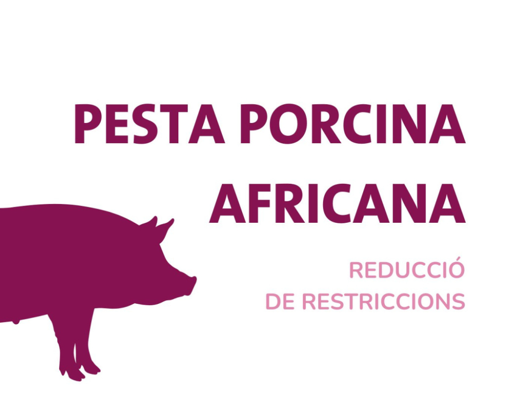 Reducció Restriccions PPA