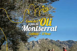 Camí de l'Oli Collbató