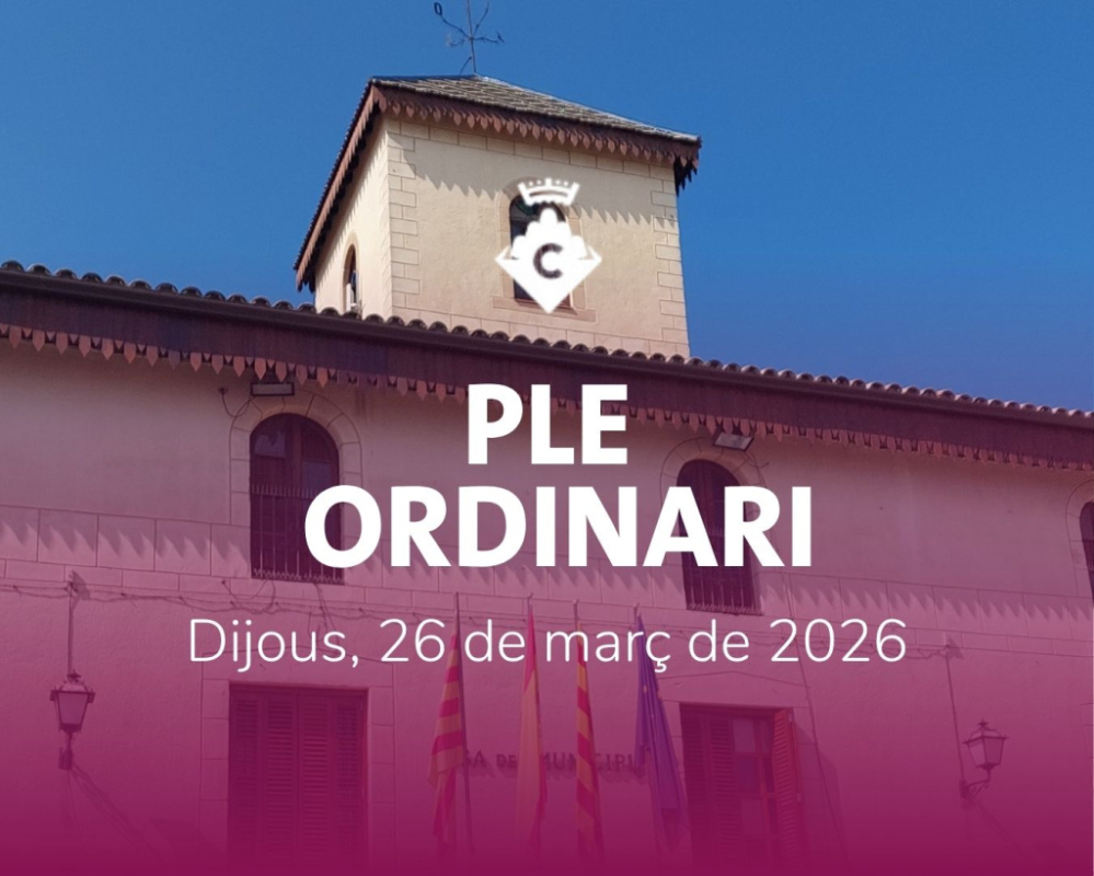 Ple Ordinari 26 de març de 2026