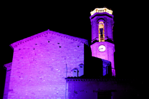 Dia Mundial del Lupus
