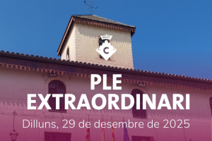 Ple Extraordinari Desembre