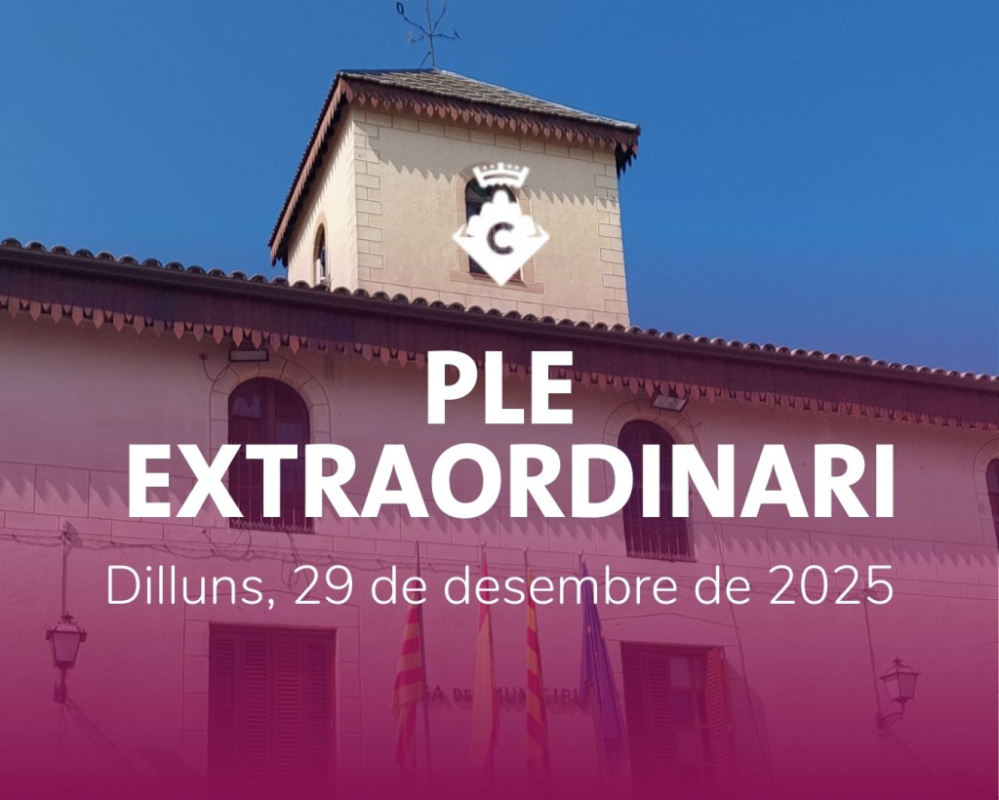 Ple Extraordinari Desembre