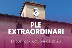 Ple Extraordinari Octubre